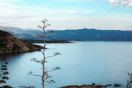 vue-panoramique-calme-sur-la-mer-et-les-montagnes Paysage côtier avec mer tranquille et montagnes majestueuses créant une harmonie sereine.