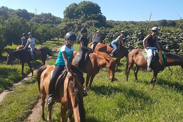 Cette image illustre une balade à cheval en campagne, démontrant l'harmonie entre l'homme, le cheval et la nature, sous un doux soleil.