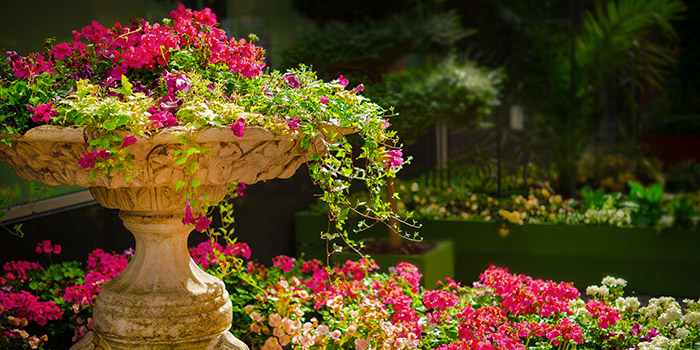 Fontaine ornée de fleurs colorées et éclatantes dans un jardin botanique, créant un havre de paix naturel et relaxant.