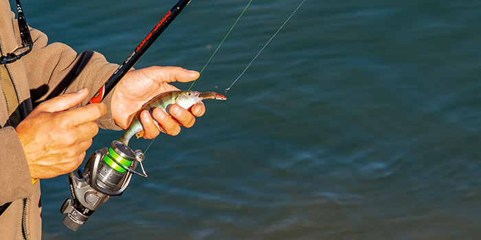 Scène pittoresque de pêcheur tenant un poisson scintillant, révélant une connexion avec la nature et la tranquillité en eaux calmes.