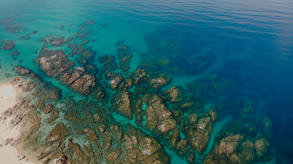 Image des rochers sur une plage isolée des Caraïbes, où les eaux cristallines scintillent dans une palette de bleus et de verts, offrant un décor idéal pour les amoureux de la nature et de la tranquillité.