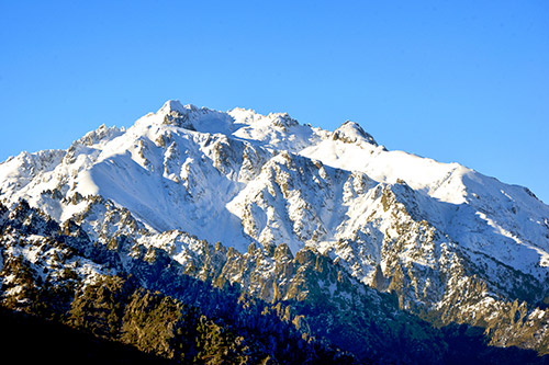 Majestueuse montagne enneigée s'élevant sous un ciel dégagé, illuminée par la lumière du soleil, incarnant sérénité et grandeur naturelle.