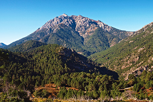 montagne-majestueuse-entouree-de-forets-verdoyantes Vue panoramique sur une montagne imposante entourée de forêts luxuriantes sous un ciel ensoleillé
