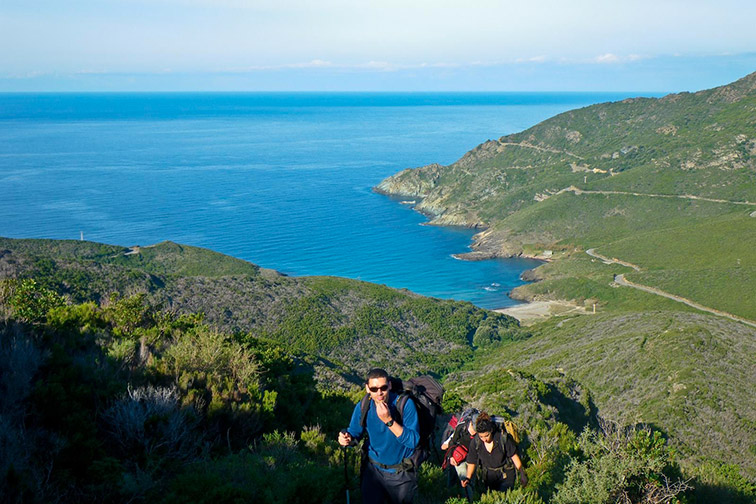 Deux randonneurs explorent un paysage verdoyant surplombant une mer scintillante, symbolisant la connexion avec la nature et l'attrait pour les aventures en plein air.