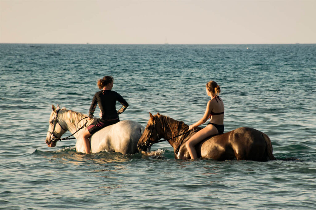 Découvrir la Corse du Sud à Cheval : Balades et Randonnées Équestres Inoubliables