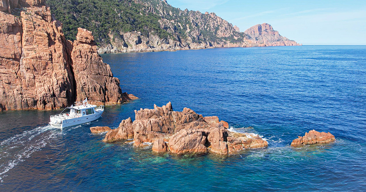 image-porto-linea-01