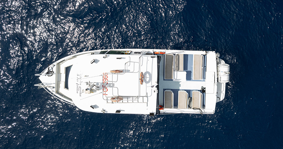 image-porto-linea-03