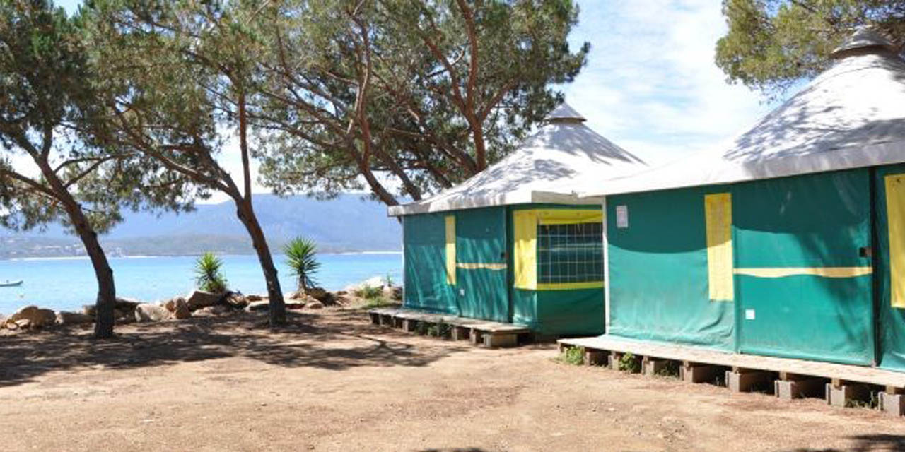 Site de camping en bord de mer avec tentes colorées sous des arbres majestueux, évoquant détente et évasion en pleine nature.