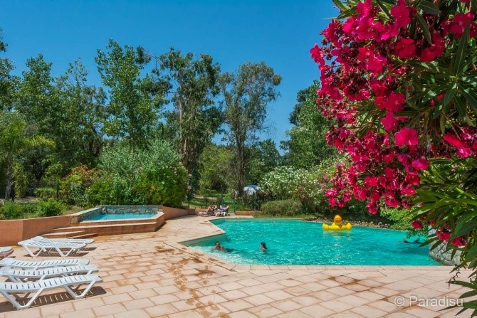 Oasis de détente au bord de la piscine ensoleillée Image d'une piscine ensoleillée entourée de fleurs luxuriantes et de transats, évoquant la détente estivale et la nature.