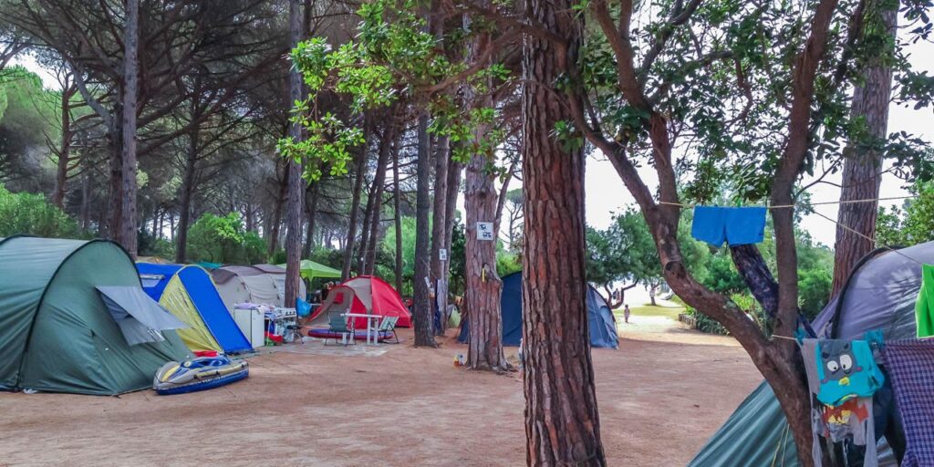 Image captivante de campeurs en Californie profitant d'un endroit paisible au milieu d'une forêt, entourés de tentes colorées, représentant un parfait équilibre entre relaxation et aventure en pleine nature.