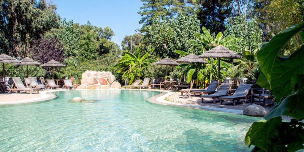 Piscine naturelle entourée de verdure avec transats confortables et parasols en paille sous le soleil, créant un havre de détente et de sérénité.