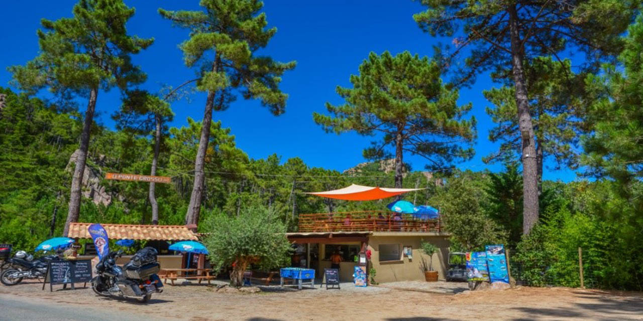 Image d'un café charmant au Camping Ponte Grossu, entouré de pins majestueux sous une lumière ensoleillée, avec des parasols colorés ajoutant de la chaleur à l'atmosphère paisible.