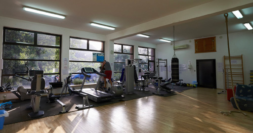 Salle de fitness moderne avec machines variées Salle de sport lumineuse avec machines modernes et sol en bois, propice à un entraînement complet et motivant.