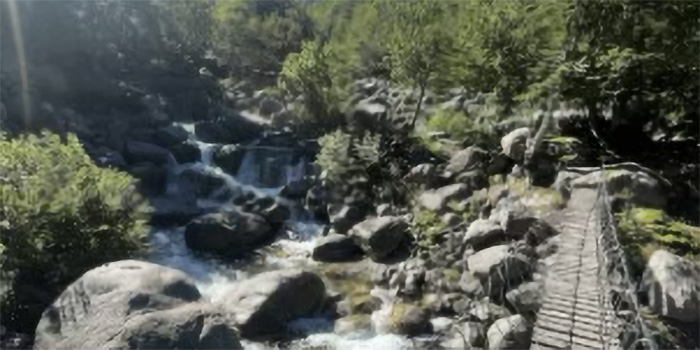 Image d'un pont suspendu au-dessus d'une rivière entourée par une nature luxuriante, sous un éclairage naturel qui met en valeur la sérénité et la tranquillité du lieu.