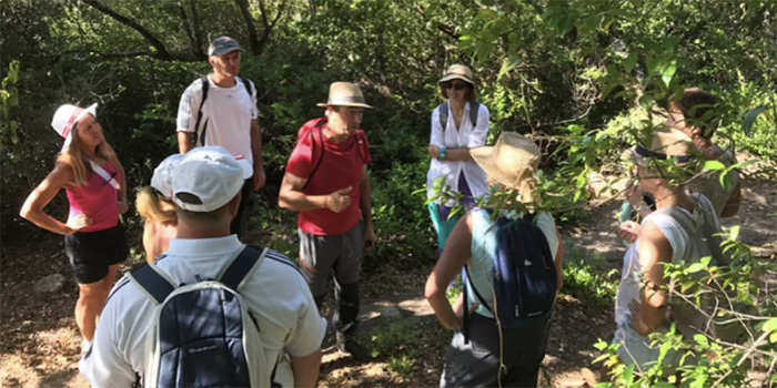 Découverte de la nature en groupe avec un guide passionné, sous une lumière filtrante à travers la verdure.