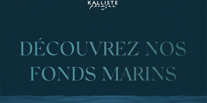 Découvrez une aventure de plongée exceptionnelle à Kalliste avec une biodiversité marine fascinante. Les eaux limpides et la faune colorée offrent une expérience magique sous-marine.