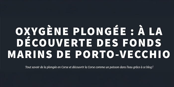 Cette image évoque l'appel de l'aventure sous-marine à Porto-Vecchio, un lieu privilégié pour les passionnés de plongée. La beauté naturelle des fonds marins fait vibrer l'imagination des aventuriers et promet des instants magiques en mer.