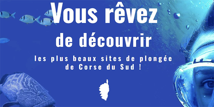 Cette image évoque la beauté exceptionnelle des sites de plongée en Corse du Sud, invitant les amateurs de plongée à explorer un monde captivant où la nature marine s'épanouit dans les eaux cristallines, offrant une expérience de découverte inégalée.
