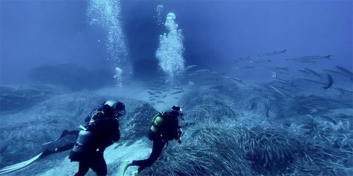 Image de deux plongeurs entourés de poissons scintillants dans un paysage sous-marin bleu, illustrant l'harmonie de la faune marine.