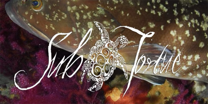 Logo de Sub Tortue au design artistique avec tortue stylisée, sur un fond vibrant de coraux et poissons, évoquant la nécessité de préserver les océans.