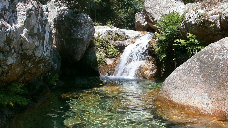 Une cascade d'eau cristalline tombe sur des rochers moussus, entourée de verdure luxuriante, offrant un spectacle apaisant et ressourçant.